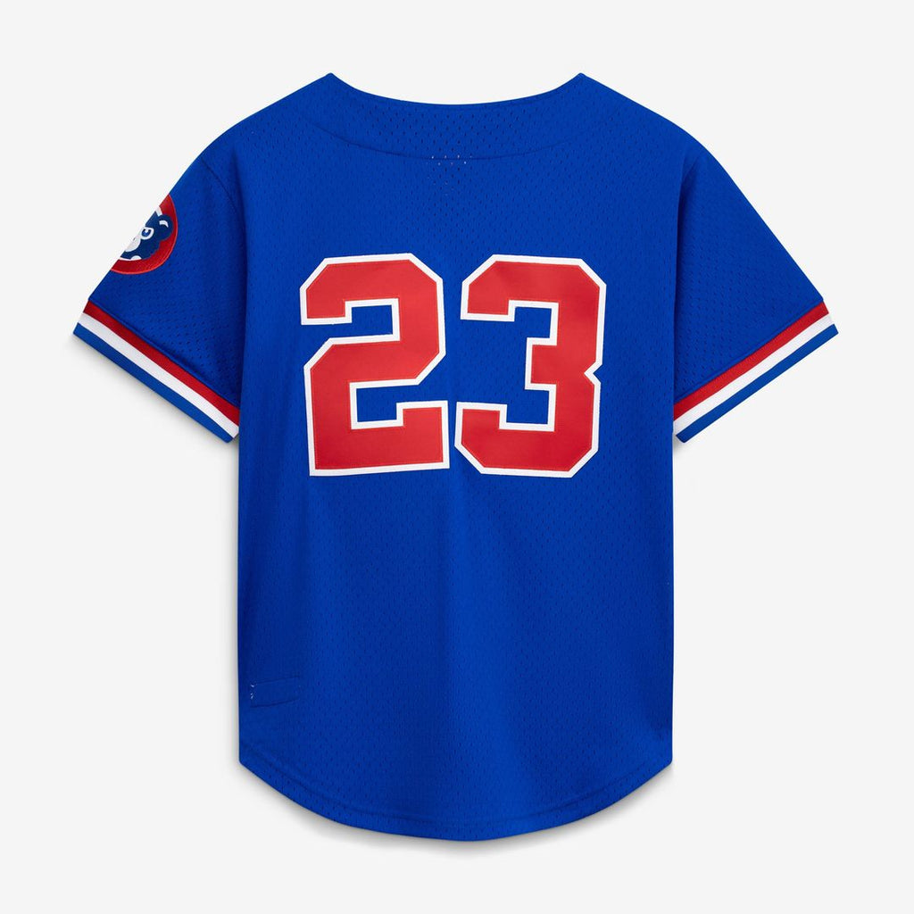 Ryne Sandberg Chicago Cubs 1996 Mesh Batting Practice Button-Up Jersey - Royal