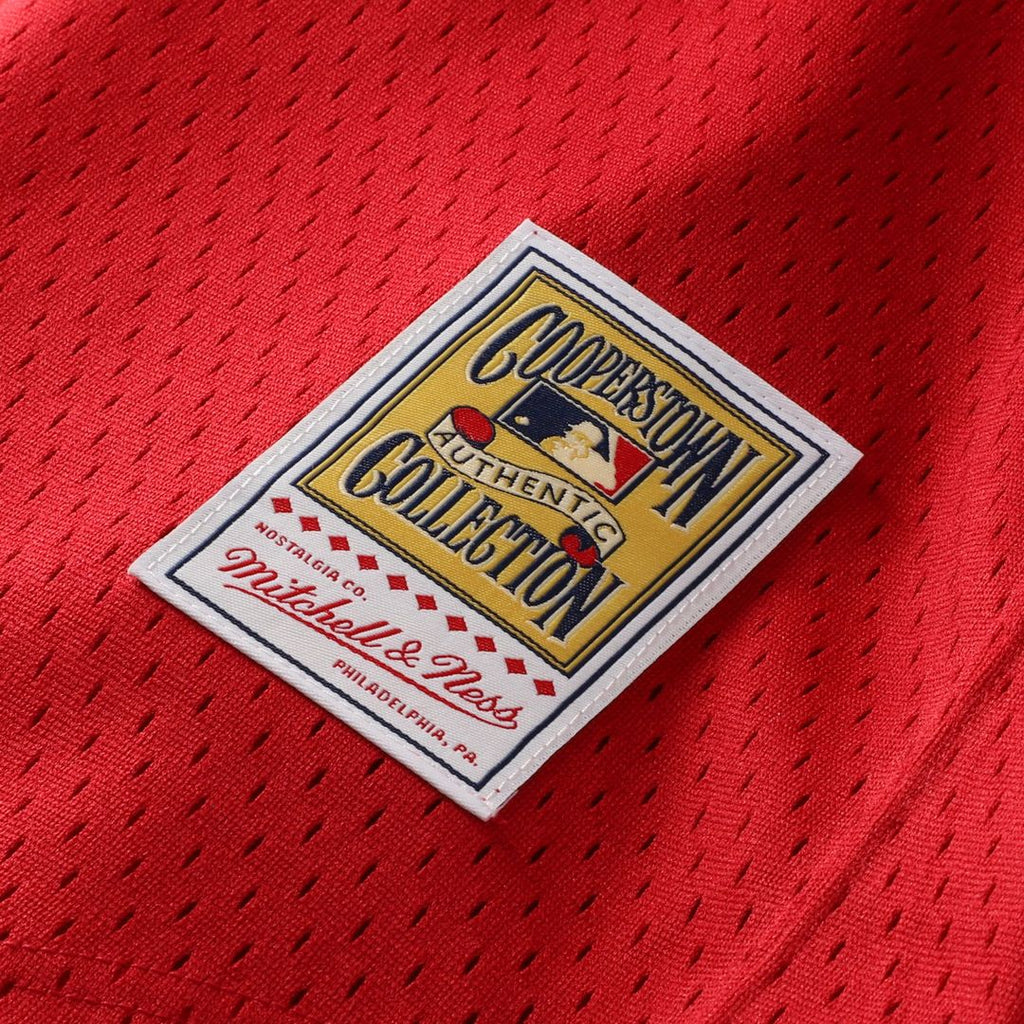 Ozzie Smith St. Louis Cardinals Youth Mesh Jersey - Navy