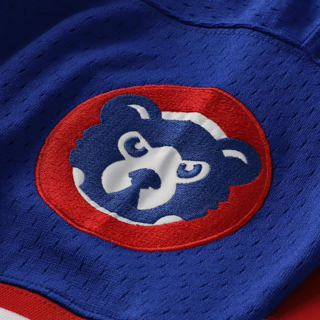 Ryne Sandberg Chicago Cubs 1996 Mesh Batting Practice Button-Up Jersey - Royal