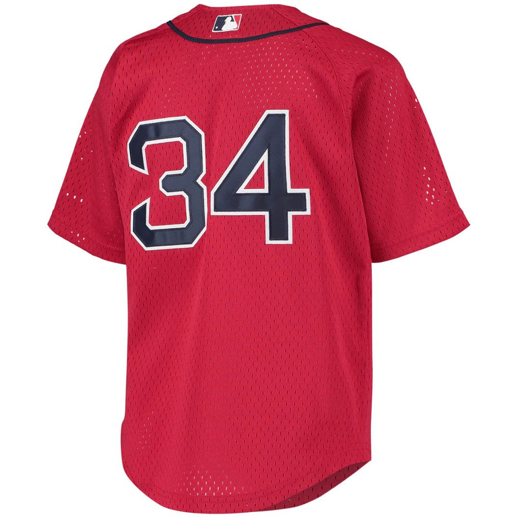 David Ortiz Boston Red Sox Youth Jersey - Red