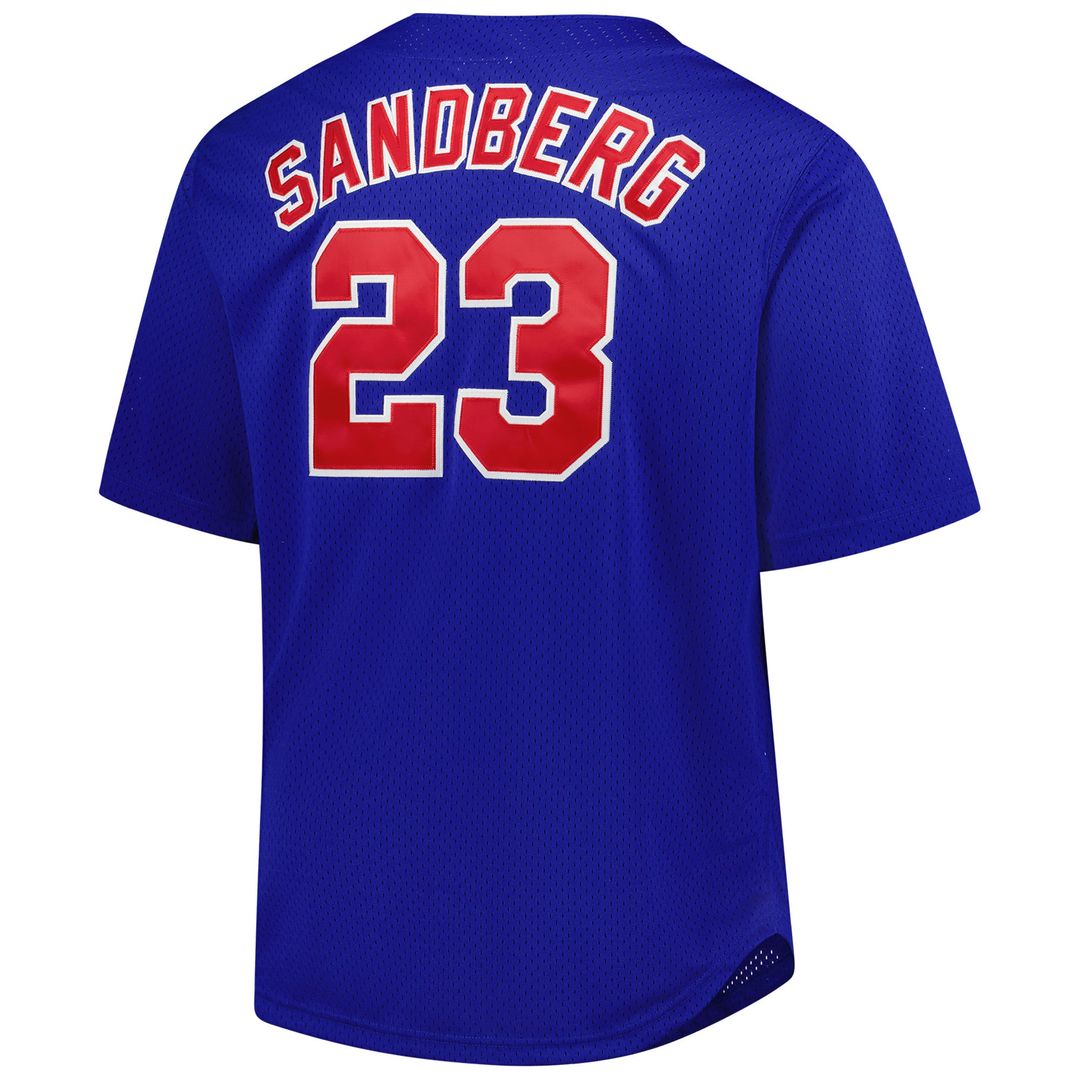 Ryne Sandberg Chicago Cubs Big & Tall Cooperstown Mesh Jersey - Royal