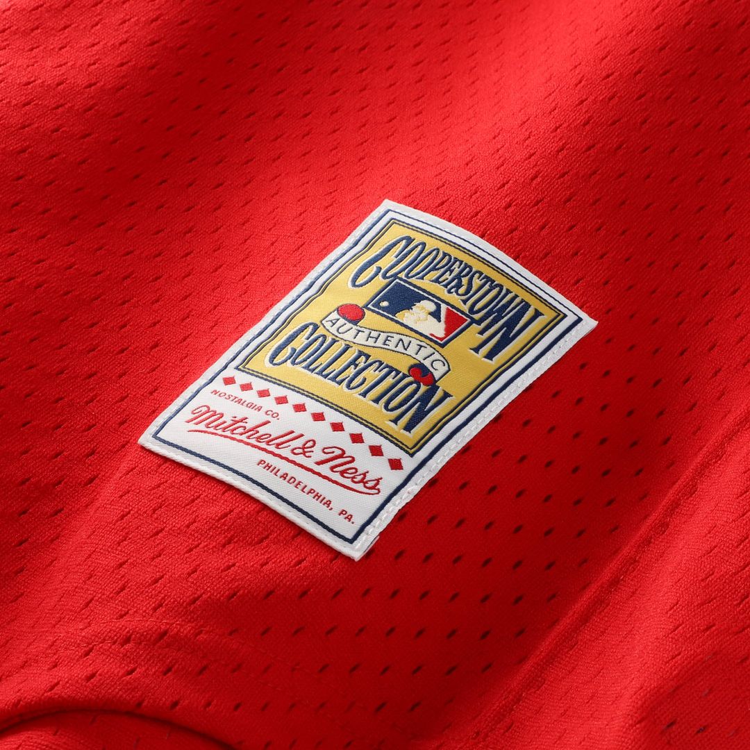 Dale Murphy Atlanta Braves Authentic Jersey - Scarlet